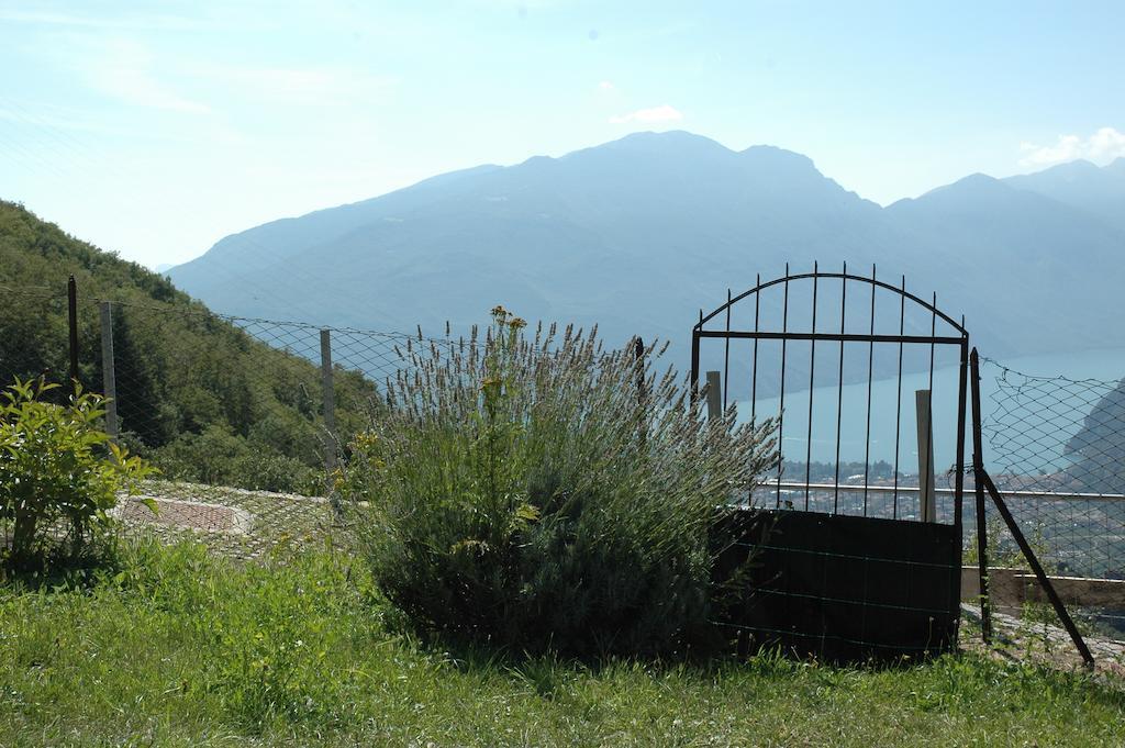 Casa Calvola Holiday Home Tenno Dış mekan fotoğraf